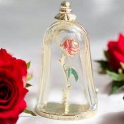 Beauty’s Enchanted Rose Brooch by Enchanted Bounding™
